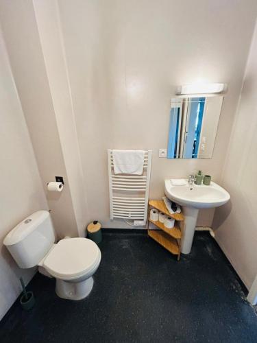 a bathroom with a toilet and a sink at Appartement proche université in Caen