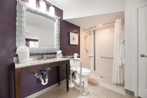 a bathroom with a sink and a toilet and a mirror at Clarion Inn & Suites Across From Universal Orlando Resort in Orlando
