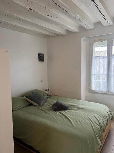a bedroom with a green bed with a window at La Suite Bellifontaine in Fontainebleau