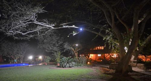 a night view of a house with a tree and lights at Bushbaby Lodge & Camping in Hluhluwe
