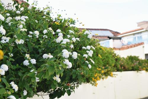 Jardin de l'établissement Hotel Aeroporto