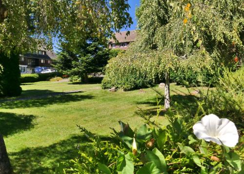 a white flower in a yard with a tree at Hotel Hochfirst in Lenzkirch