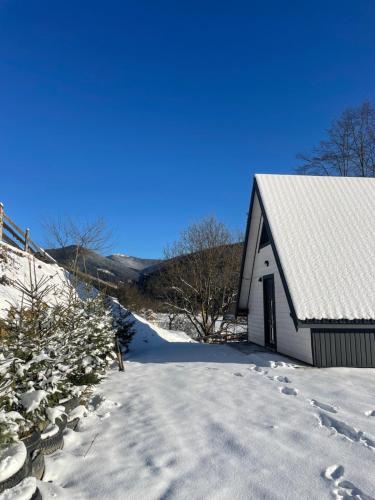 a white barn in the snow on a hill at Тиша in Verkhovyna