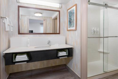 a bathroom with a sink and a shower at Hampton Inn & Suites Tampa Airport Avion Park Westshore in Tampa