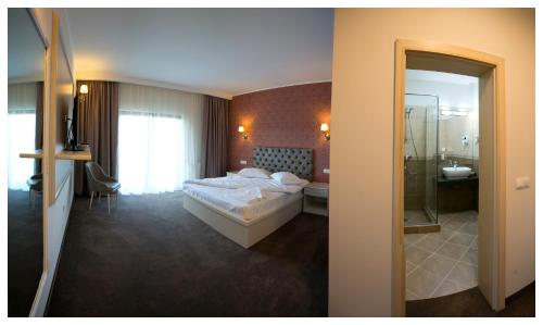 a hotel room with a bed and a bathroom at Pensiunea Rustik Lancram in Sebeş