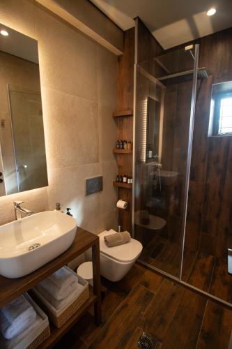 a bathroom with a toilet and a sink and a shower at Monastiri Mountain Escape in Konitsa