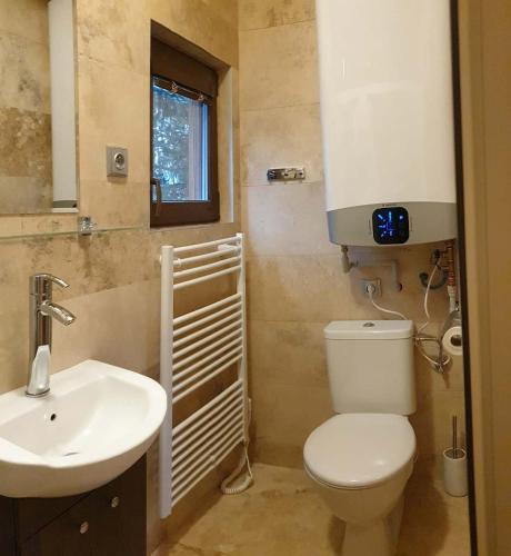 a bathroom with a white toilet and a sink at Chata Mína in Smržovka