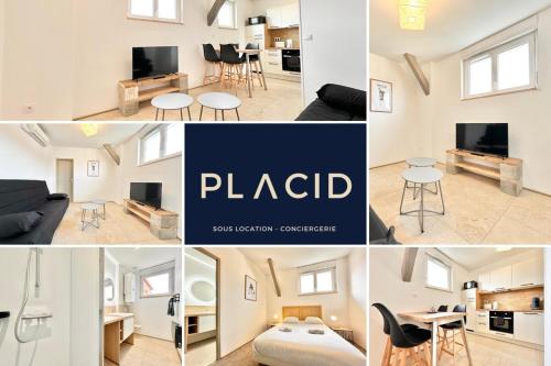 a collage of photos of a living room and a apartment at Le Ronsard - Élégance - Central in Mont-de-Marsan