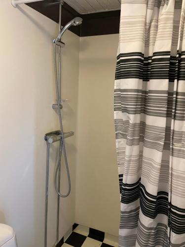 a shower in a bathroom with a shower curtain at Lillhuset Gallerud in Årjäng