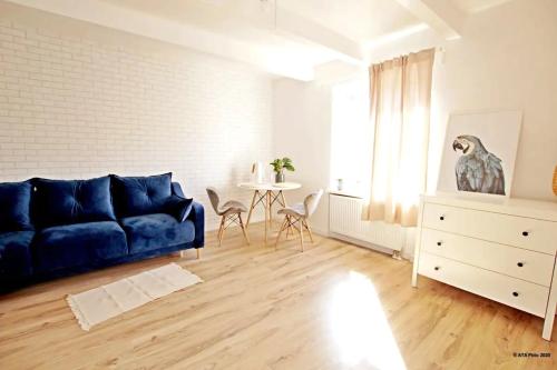 Studio Sopotek I