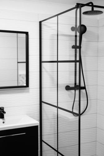 a shower with a glass door next to a sink at Sipos Borház és Vendégház in Badacsonyörs