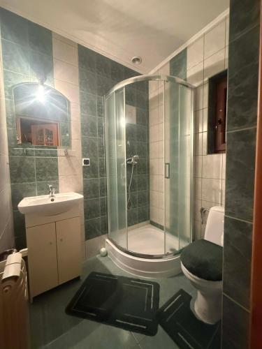 a bathroom with a shower and a toilet and a sink at U Janiny in Czarna Góra