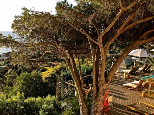 a wooden deck with a tree and a swimming pool at Boutique@10 in Cape Town