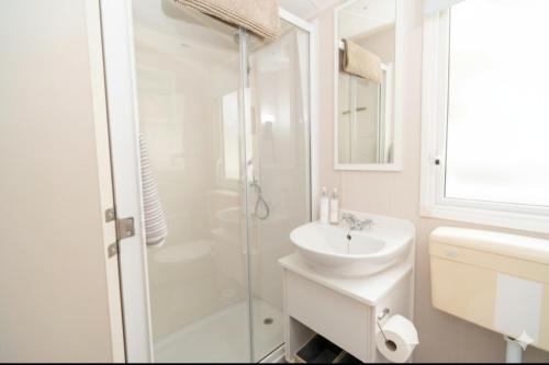 a white bathroom with a shower and a sink at Springfield B6 in Brixham