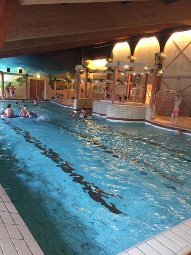 a group of people swimming in a swimming pool at Haags Duinhuis - familyfriendly holidayhome in The Hague