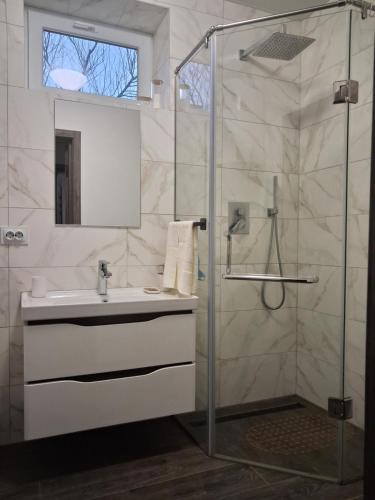 a bathroom with a sink and a shower at Майдан house in Maidan Village