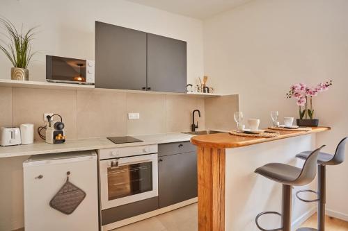 Apartement center of Paris