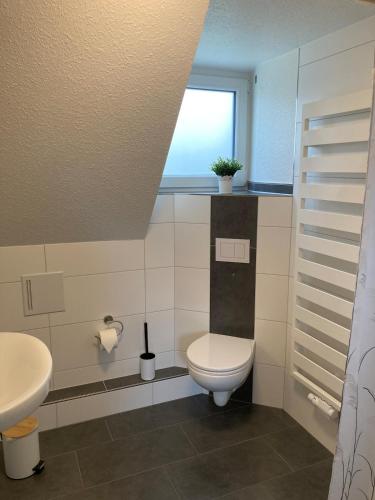 a bathroom with a toilet and a sink and a window at Ferienhaus Helmshuus in Leer