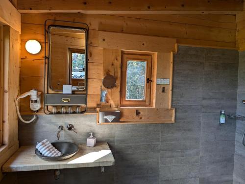 a bathroom with a sink and a mirror at Les Cabanes Dans Les Bois Logis Hôtel in Villalier