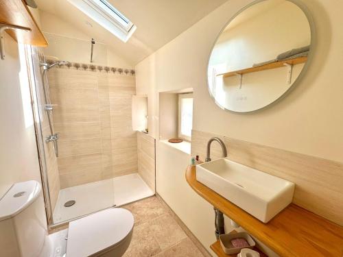 a bathroom with a toilet and a sink and a mirror at Sweet Pea Cottage in Donzy