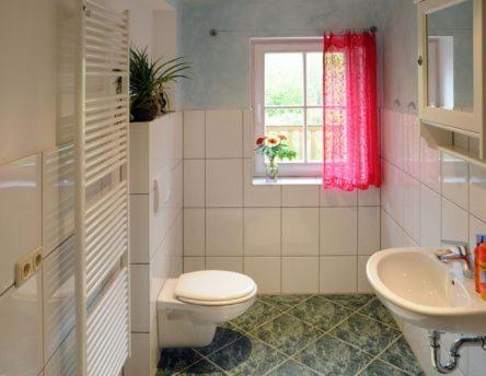 bagno con servizi igienici, lavandino e finestra di Landgut Jungbrunnen a Glashagen