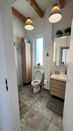 a bathroom with a toilet and a sink and two lights at Casa de Vacanta Nufarul Crisan in Tulcea