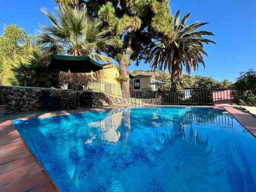 ein Schwimmbecken mit blauem Wasser und Palmen in der Unterkunft Finca Panadera, Ferienhaus in Tijarafe in Tijarafe