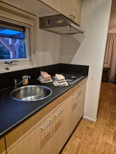 a kitchen counter with a sink and a stove at Parel van het bos in Norg