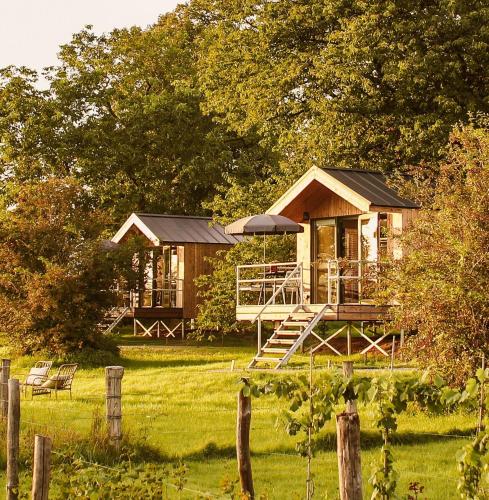 eine Hütte mitten auf einem Feld in der Unterkunft Boutiquehotel & Tiny houses PLEK17 in Milsbeek