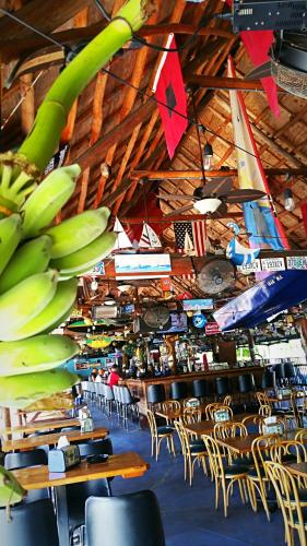 a room with a bunch of bananas hanging from the ceiling at Dolphin Key Resort - Cape Coral in Cape Coral