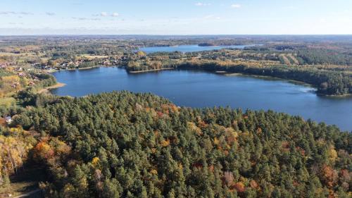 an aerial view of a lake in the forest at Domki letniskowe Ruś in Ruś