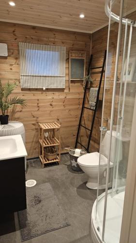 a bathroom with a toilet and a sink and a shower at Hyttekos i Telemark in Åmli