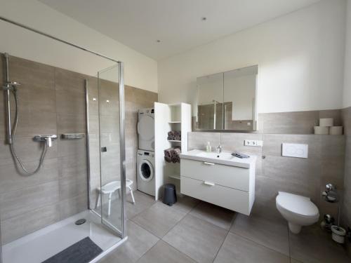 a bathroom with a shower and a sink and a toilet at Ferienwohnung Hof Armada in Wiesbaden