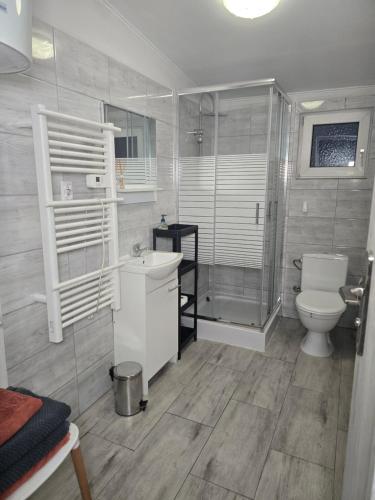 a bathroom with a toilet and a sink at Agroturystyka Nad Stawem in Sulęcin