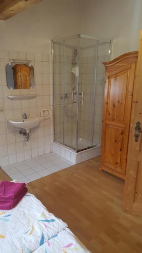 a bathroom with a shower and a sink at Gästehaus Cavallo in Achberg