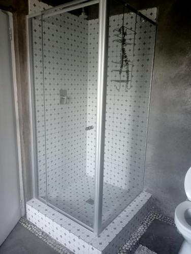 a shower with a glass door in a bathroom at Nirvana in Struisbaai