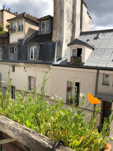 Light filled architects nest between rooftops