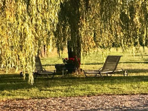 two chairs sitting under a tree in a park at La Levraudière in Cheverny