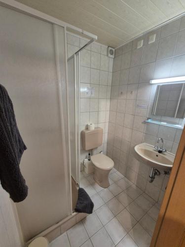 a bathroom with a shower and a toilet and a sink at Zum Bergbauern in Waidhaus