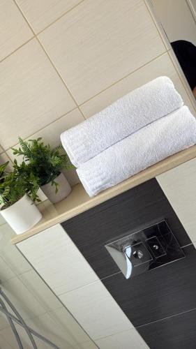 a shelf with two towels and two plants on it at דירה 9 in Eilat
