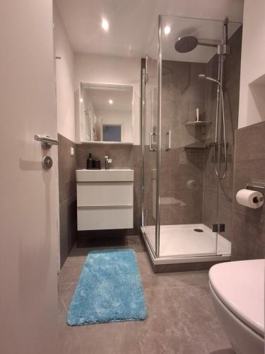 a bathroom with a shower and a sink and a toilet at Spatz am Joch in Oberjoch
