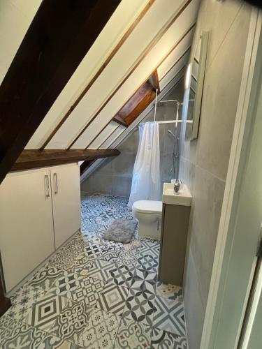 a bathroom with a toilet in a attic at Lifeboat House in Skerries