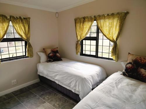 a bedroom with two beds and two windows at Zebra Lodge in Gqeberha