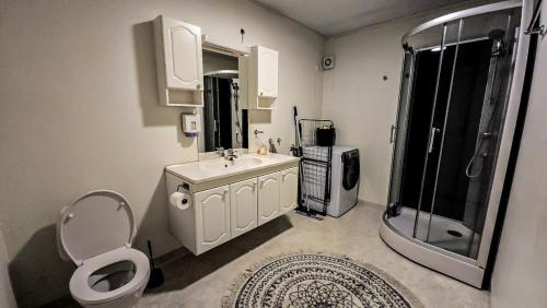 a bathroom with a toilet and a sink and a shower at Apartment in Senja in Senja