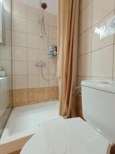 a bathroom with a shower and a toilet at Aura di Mare in Barbati