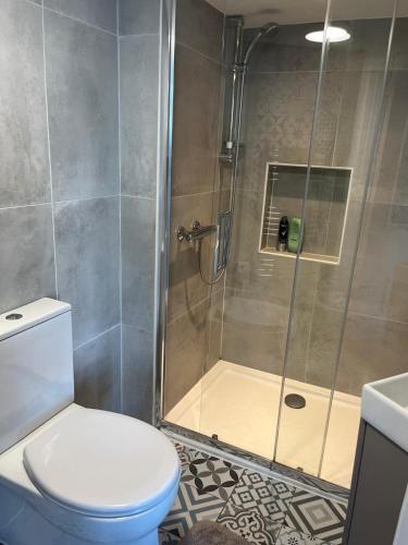 a bathroom with a toilet and a shower at Seaview Terrace in Skerries