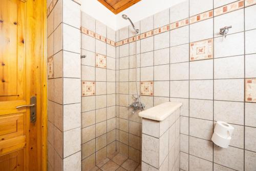 a bathroom with a shower and a toilet at Villa Old Vineyard in Kontogiannátika
