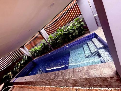 an overhead view of a swimming pool with plants at Tasha's Place in Antipolo