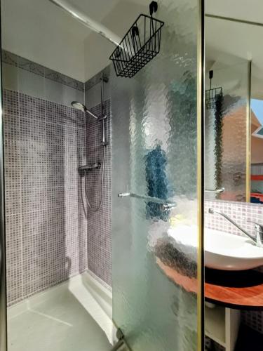a bathroom with a glass shower and a sink at Le Rêve de Poulaines - Camping Naturiste 1 JUIN - 30 SEPTEMBRE et chambres d'hôtes TOUTE L'ANNÉE in Poulaines