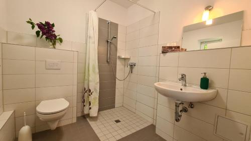 a bathroom with a toilet and a sink and a shower at 09 Gänseweide - Hof Wiesengrund in Parchtitz